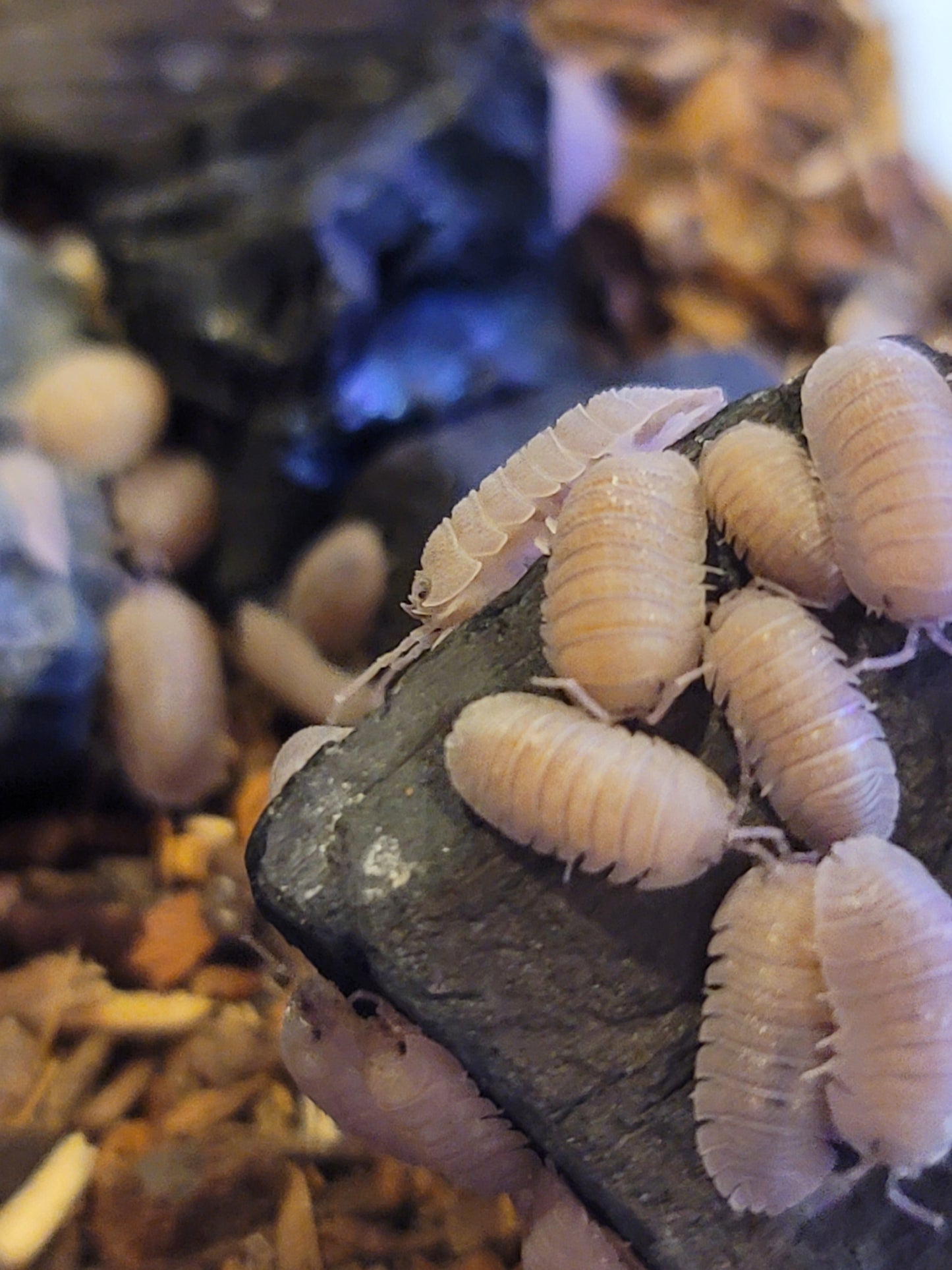 Sandstone