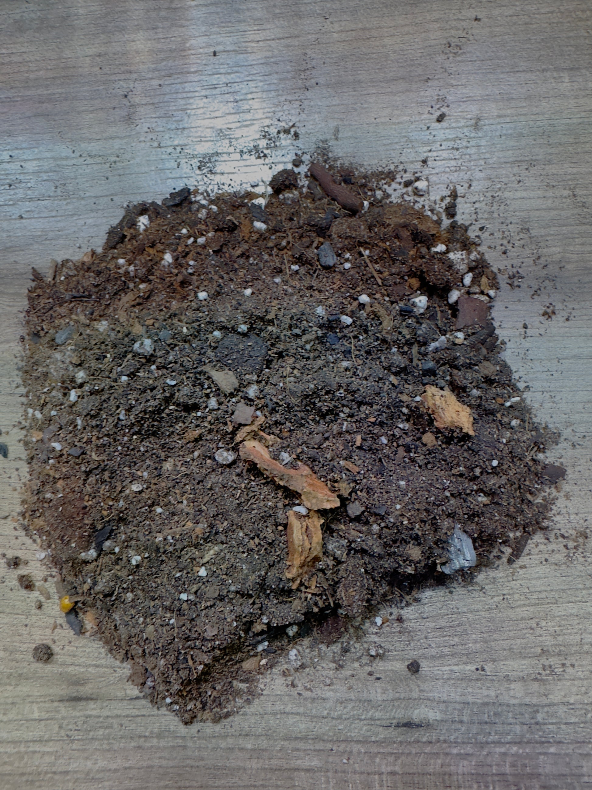 soil mix for pothos Shop Pothos and Scindapsus Soil Mixes